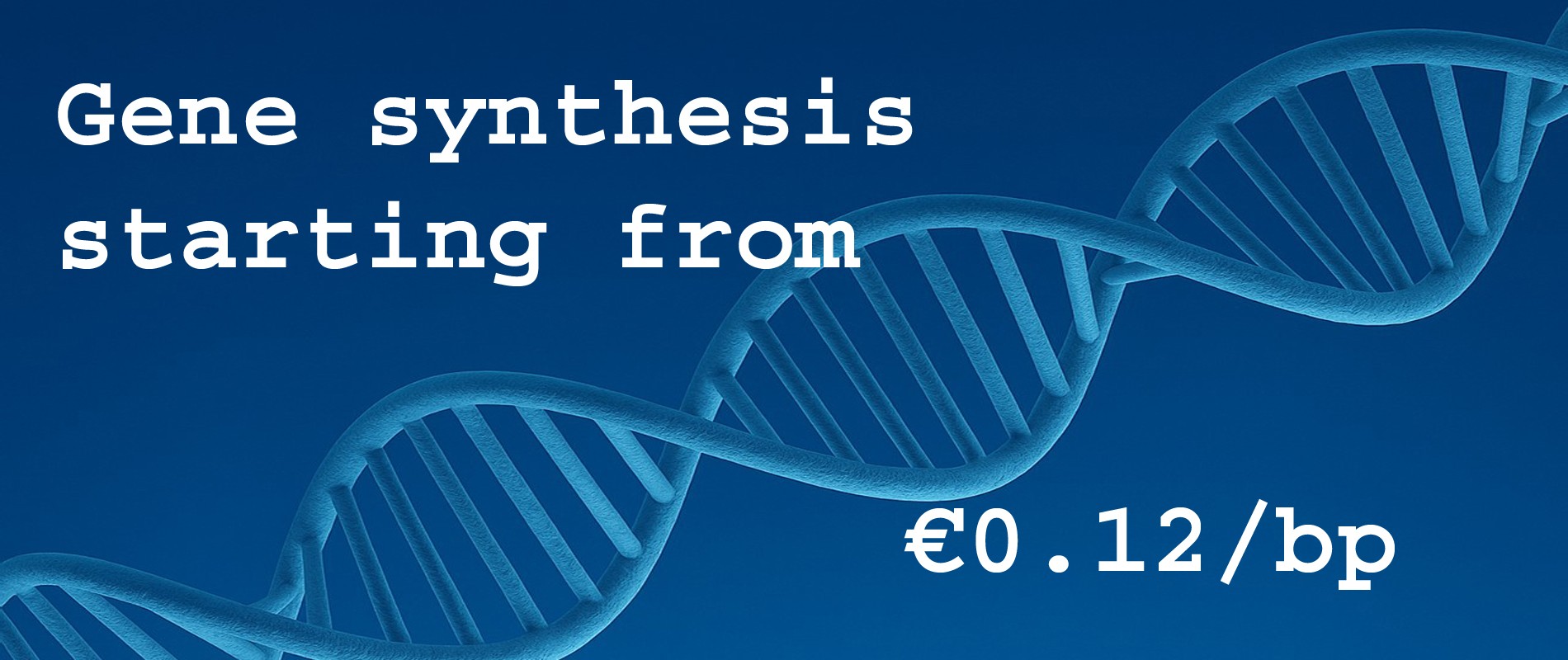 gene synthesis